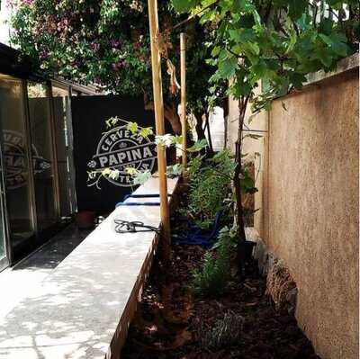 Papina Cerveceria Artesanal