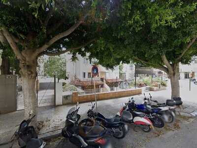 Antidoto Y Veneno Palma