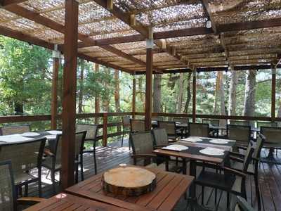 Terraza Arratiecho (biescas Aventura)