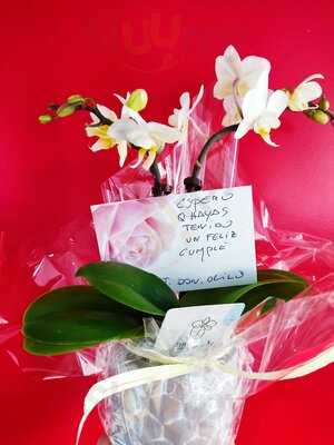 Restaurante Don Olivo