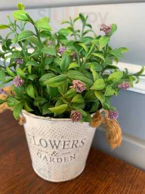 Lucciano La Trattoria