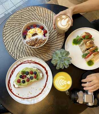 Arvo Coffee & Plants