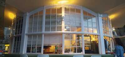 El Quisco Down Experience