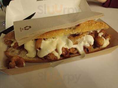 El Quisco Down Experience