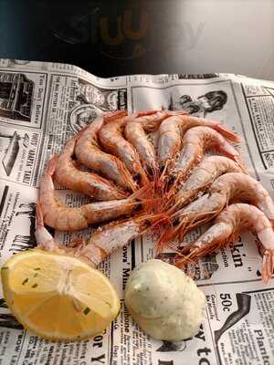 Bar Restaurante Octopus