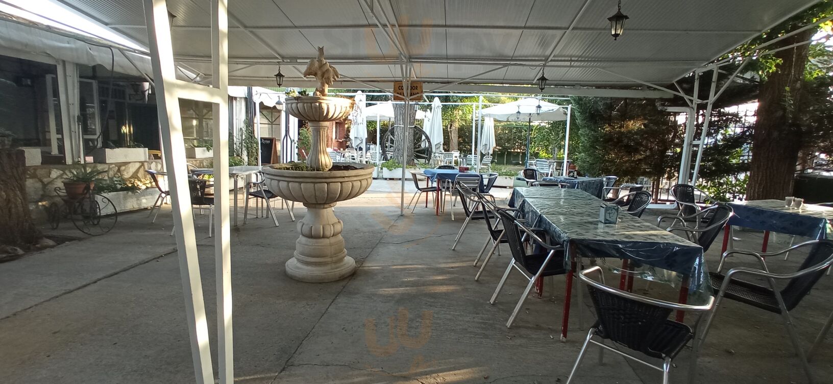 Bar Orasis