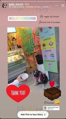 Gelateria Gato Gordo