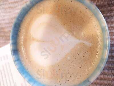 Purita, De Vuelta Al Origen