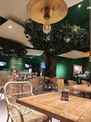 Organic Restaurant - Burger And Burritos