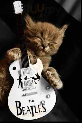 Mister Ringo Music Bar