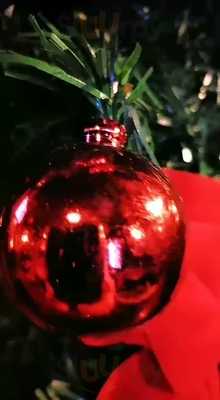 Mister Ringo Music Bar