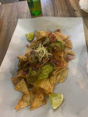 Ojopulpo Gastrotasca