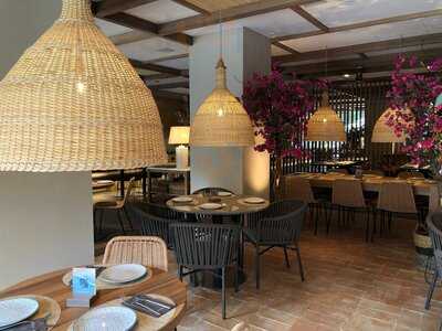 Saona Blasco Ibáñez