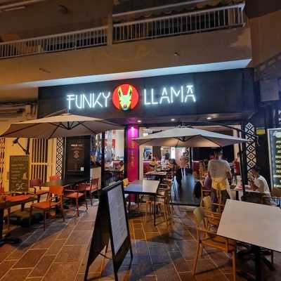 Funky Llama