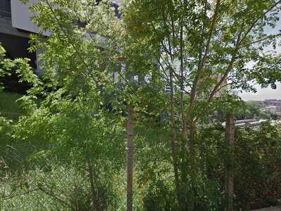 Jose Manuel Martinez Murillo