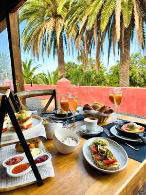 Jardín De Tacoronte