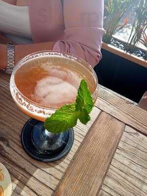 Tribu Café & Cocktails Club