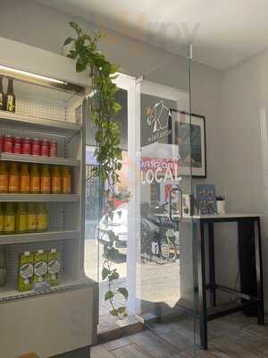 Elefante Santa Catalina