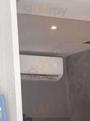 Elefante Santa Catalina