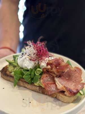 Elefante Santa Catalina