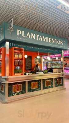 Plantamientos