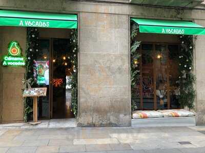 Avocados Ferran