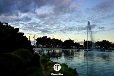 Los Paragüitas - Photo 8