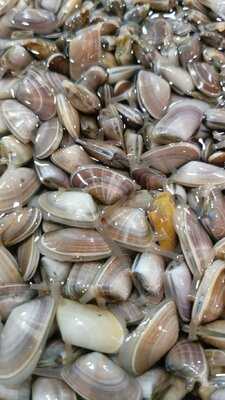 Marisquería Gutiérrez Pastrana La Tabernita