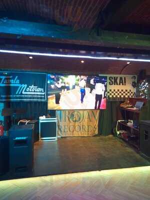 The Night Owl Tenerife