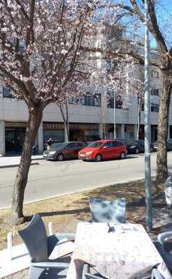 Romayka De David Aguilar