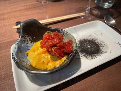 Kyoshi Las Cortes - Photo 8