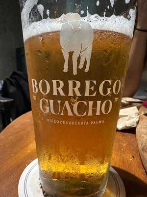 Borrego Guacho