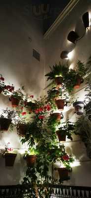 Asociación Cultural La Piconera