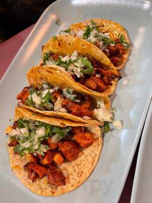 Celestun Cantina Tropical