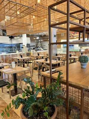 Greenvita Healthy Kitchen