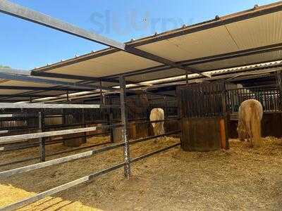 Restaurante Hacienda Montemarina