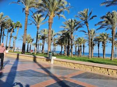 The View Beach Bar And Restaurant