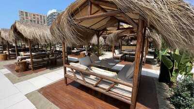 The Beach At Meliá Costa Del Sol