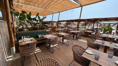 The Beach At Meliá Costa Del Sol