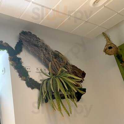 El Jardín Del Guaje