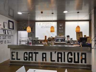 Gat A L'aigua