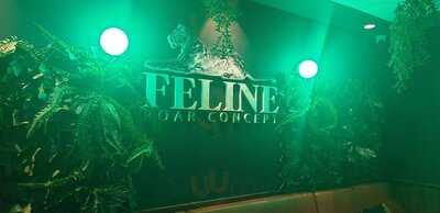 Feline