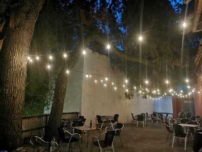 Alegria De La Huerta