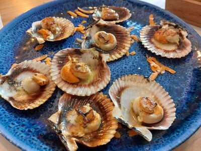 Octopus Restaurant - Pompeu Fabra