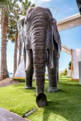 Roca Blanca Beach Club