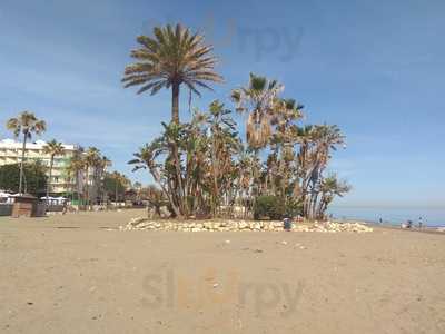 D'cote Heladeria Artesanal