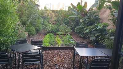 El Tros De La Rambla