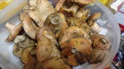 Cafetería Y Pastelería Avance