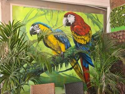 Tribal Lounge Beach Bar And Restaurant