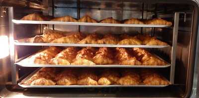 Panther Organic Coffee